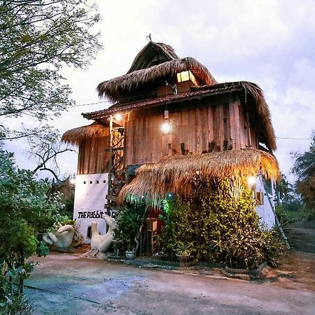 The Rabbit Tree Hostel Gili Meno Extérieur photo