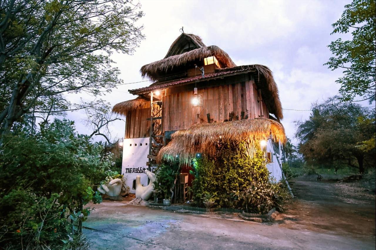 The Rabbit Tree Hostel Gili Meno Extérieur photo