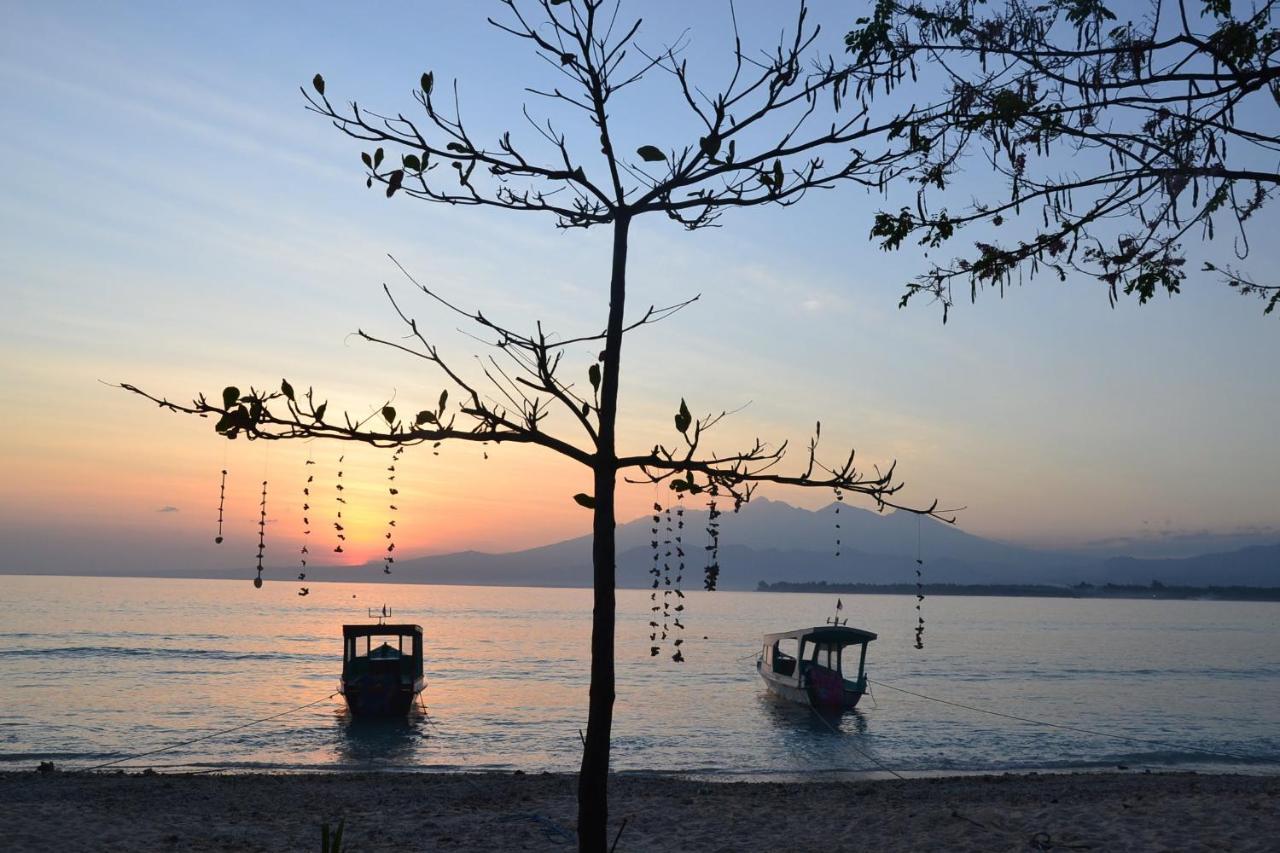 The Rabbit Tree Hostel Gili Meno Extérieur photo