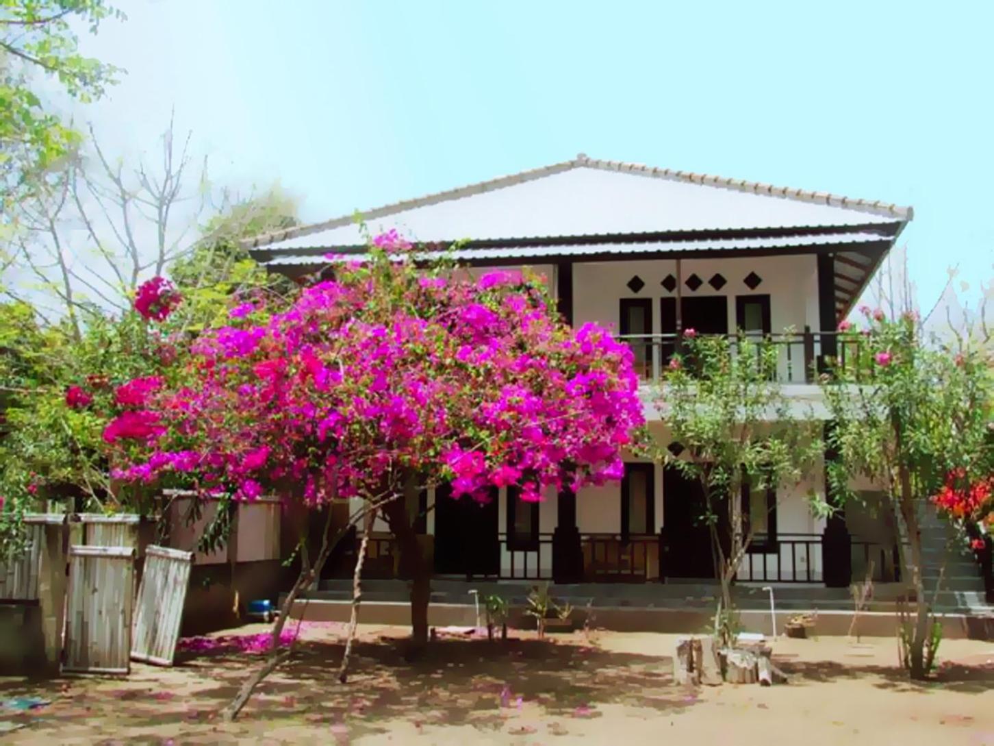 The Rabbit Tree Hostel Gili Meno Extérieur photo