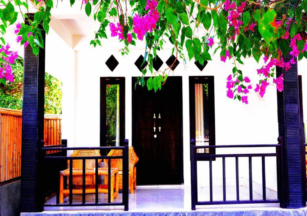 The Rabbit Tree Hostel Gili Meno Extérieur photo